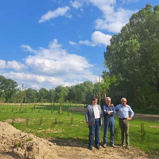 Proseguono gli interventi di riqualificazione del Parco del Sabiunè