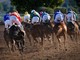 Cheltenham Festival 2025: il grande spettacolo dell’ippica internazionale