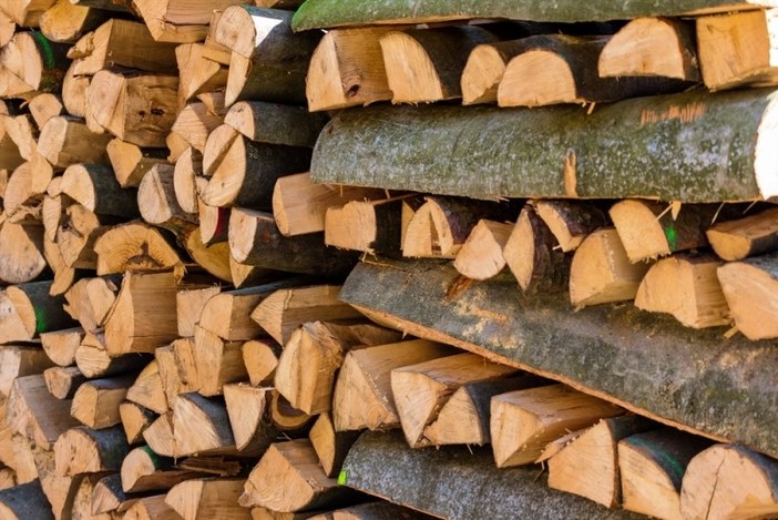 Un webinar sul valore della filiera del legno nel settore delle costruzioni