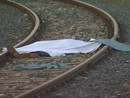 Tragedia a Torrazza Piemonte, uomo morto investito da un treno
