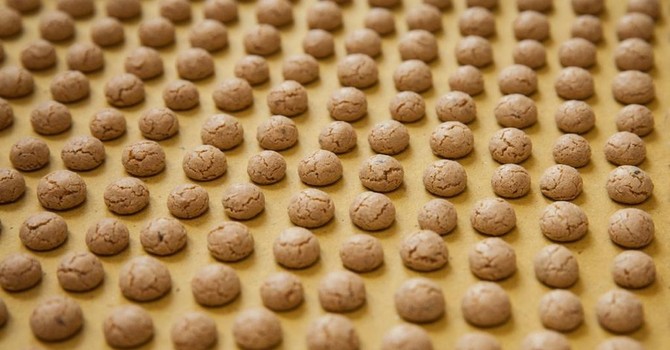Festa per i nocciolini di Chivasso