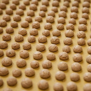 Festa per i nocciolini di Chivasso