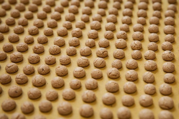 Festa per i nocciolini di Chivasso