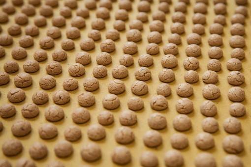 Festa per i nocciolini di Chivasso