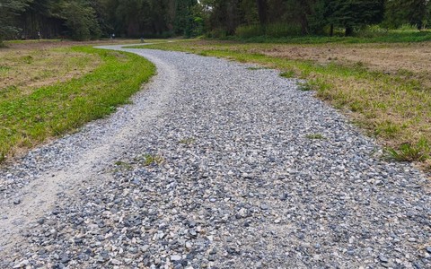 In Piemonte 8 milioni per tutelare la biodiversità naturale: interventi a Chivasso e Rivoli