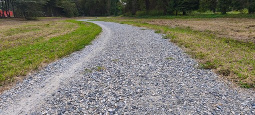 In Piemonte 8 milioni per tutelare la biodiversità naturale: interventi a Chivasso e Rivoli