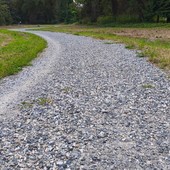 In Piemonte 8 milioni per tutelare la biodiversità naturale: interventi a Chivasso e Rivoli