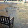 Chivasso, rottura della rete idrica: allagata piazza della Repubblica Chivasso, rottura della rete idrica: allagata piazza della Repubblica