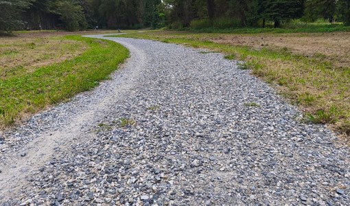 In Piemonte 8 milioni per tutelare la biodiversità naturale: interventi a Chivasso e Rivoli