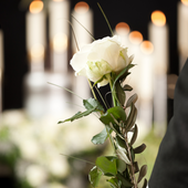 Foto generica d'archivio Foto generica d'archivio