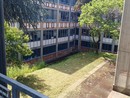 taglio dell'erba