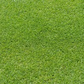 Tappeto erba sintetica: praticità, drenaggio e comfort sotto i piedi Tappeto erba sintetica: praticità, drenaggio e comfort sotto i piedi