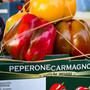 Annata difficile, ma di grande qualità, ottimo mercato per il Peperone di Carmagnola [VIDEO]