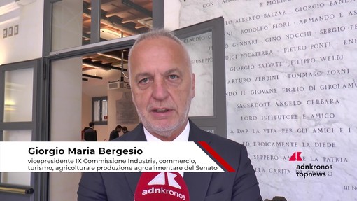Economia: Bergesio (Lega), 'attrattività non è solo aumento del Pil ma anche stabilità per famiglie'