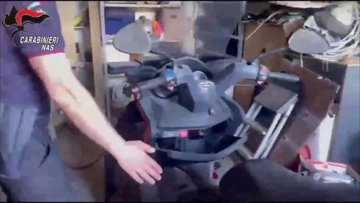 Il cane 'fiuta' oppioidi e fentanyl, Carabinieri trovano in casa oltre 250 confezioni