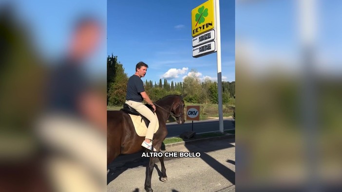 Caro carburanti? Nardella sceglie il cavallo: "Altro che bollo auto" Caro carburanti? Nardella sceglie il cavallo: "Altro che bollo auto"