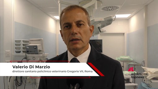Università: Di Marzio (Gregorio VII), 'qui studenti di Veterinaria hanno occasione formativa unica'