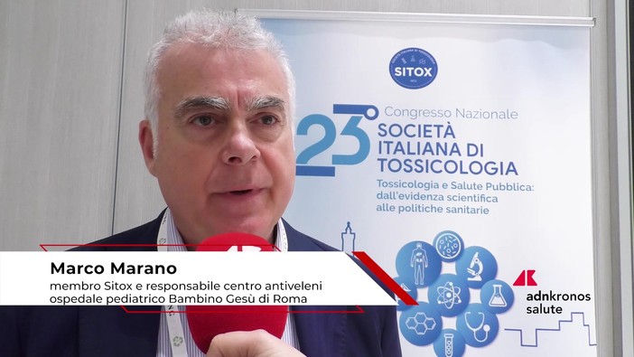 Estate: tossicologo Marano, 'morso di vipera raro, ma pericoloso per i bambini' Estate: tossicologo Marano, 'morso di vipera raro, ma pericoloso per i bambini'