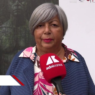 Salute, Celano (Apmarr): "Associazioni facilitano riconoscimento malattia IgG4-correlata" Salute, Celano (Apmarr): "Associazioni facilitano riconoscimento malattia IgG4-correlata"