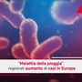 Malattia della pioggia, aumento dei casi in Europa