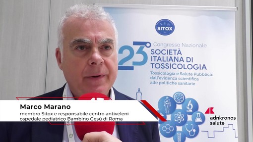 Estate: tossicologo Marano, 'morso di vipera raro, ma pericoloso per i bambini'