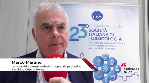 Estate: tossicologo Marano, 'morso di vipera raro, ma pericoloso per i bambini'