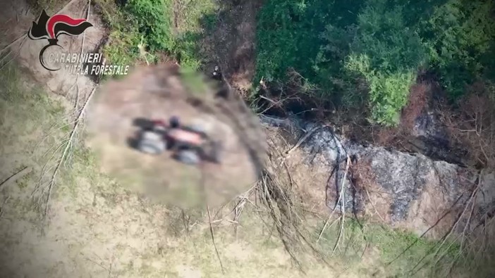 Calabria, arrestato dopo aver appiccato un incendio: era stato ripreso da un drone