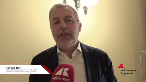 SAF, Nevi (FI): "Diversificazione agricola e biocarburanti per aumentare introiti degli agricoltori" SAF, Nevi (FI): "Diversificazione agricola e biocarburanti per aumentare introiti degli agricoltori"
