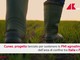 Agroindustria, Cuneo lancia Tra_in: formazione, imprese e filiere integrate