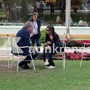 A Cernobbio prove di campo largo: Schlein e Bonelli 'a tu per tu'
