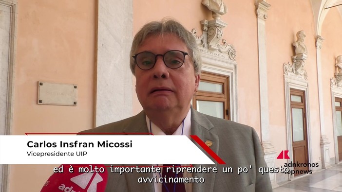 Micossi (Unión Industrial Paraguay): "Nostro Paese molto ricco e confinante con mercati ad alto potenziale commerciale'