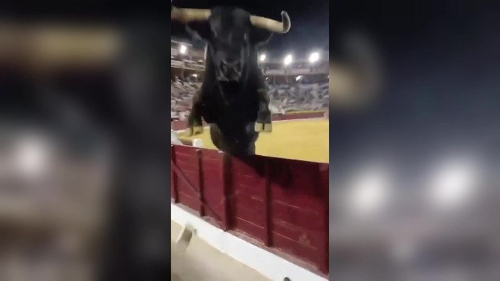 Paura in Spagna, toro scavalca recinzione durante la corrida