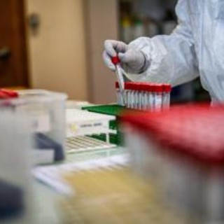 Covid, allerta per nuova variante. Bassetti: &quot;Guardia troppo bassa&quot;