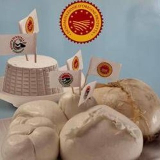 La mozzarella di bufala campana Dop raggiunge un pubblico digitale di 37 milioni di utenti La mozzarella di bufala campana Dop raggiunge un pubblico digitale di 37 milioni di utenti
