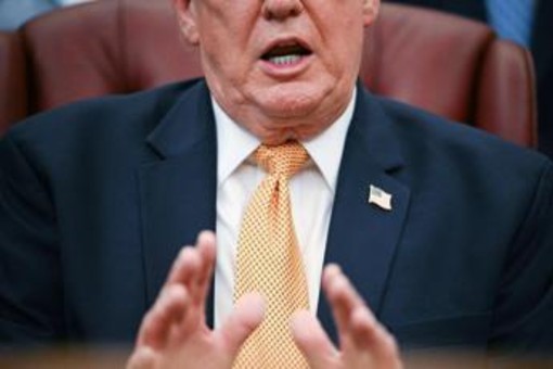 Trump: "L'erba è come gli esseri umani, ha una vita" Trump: "L'erba è come gli esseri umani, ha una vita"