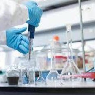 Farmaci: studi, molecola sperimentale riduce declino funzionalità polmonare in Ipf e Ppf