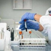 Medicina di laboratorio, Sibioc: "In Lombardia donne in 52% ruoli apicali un modello" Medicina di laboratorio, Sibioc: "In Lombardia donne in 52% ruoli apicali un modello"