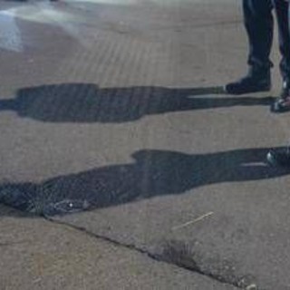 Femminicidio a Gela, Veronica Abaza uccisa dal compagno a calci e pugni Femminicidio a Gela, Veronica Abaza uccisa dal compagno a calci e pugni