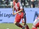 Cremonese-Udinese finisce 1-1: gol di Terracciano e Zaniolo Cremonese-Udinese finisce 1-1: gol di Terracciano e Zaniolo