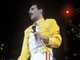 Freddie Mercury aveva una figlia segreta? La rivelazione choc dopo quasi 50 anni