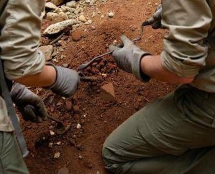 L'antenato dell'uomo camminava 7 milioni di anni fa, la scoperta che sposta i primi passi L'antenato dell'uomo camminava 7 milioni di anni fa, la scoperta che sposta i primi passi