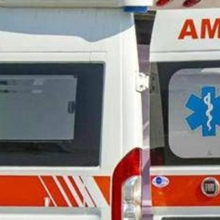 Treviso, muore schiacciato dalla pressa per l’uva nell'azienda di famiglia