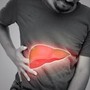 Steatosi epatica per 25% italiani, studio ‘integratore con alghe utile in 50% casi’