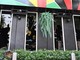 Thailandia, incendio in un bar a Bangkok: almeno 27 morti e oltre 60 feriti Thailandia, incendio in un bar a Bangkok: almeno 27 morti e oltre 60 feriti
