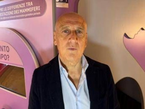 Farmaci, Agostiniani (Sip): "Contro Rsv nuova opportunità per pediatri"