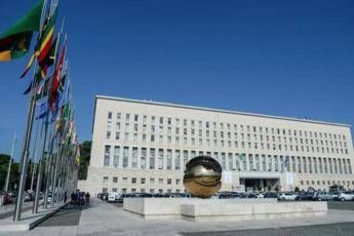 Usa, Farnesina: &quot;Italiana morta 1 maggio in incidente a Yellowstone, altre 6 vittime&quot;
