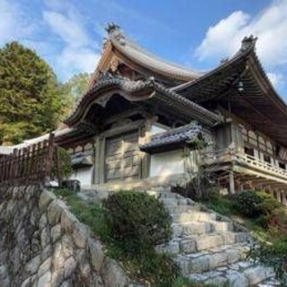 Papa, la 'tristezza' dei monaci Zen delle montagne: anche il Giappone lo piange