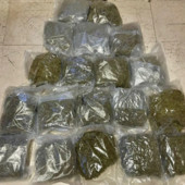 Arrestati a Bologna due trafficanti di droga con 20 kg di marijuana Arrestati a Bologna due trafficanti di droga con 20 kg di marijuana