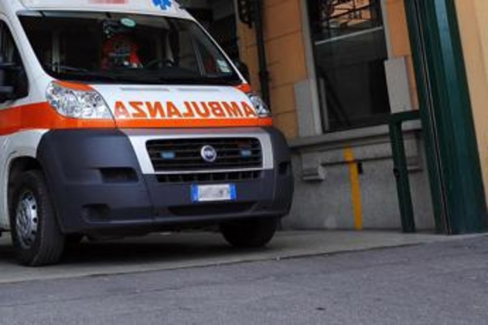 Pistoia, nonna e nipotina aggredite da tre pitbull: sono entrambe gravi