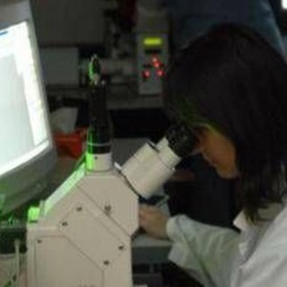 Sclerosi multipla, 78% pazienti insoddisfatto di assistenza e riabilitazione
